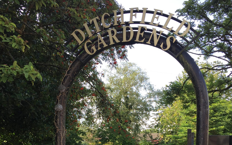 Ditchfield gardens